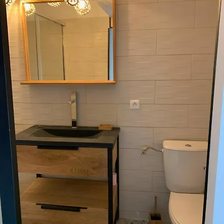 Appartement Les Dahlias 4 Personnes Jacuzzi Barbecue Jardin Arbore Climatise Agde