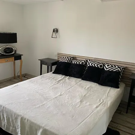 Apartment Les Dahlias 4 Personnes Jacuzzi Barbecue Jardin Arbore Climatise