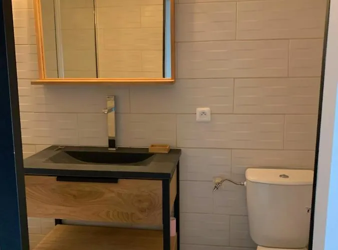 Apartamento Les Dahlias 4 Personnes Jacuzzi Barbecue Jardin Arbore Climatise Agde